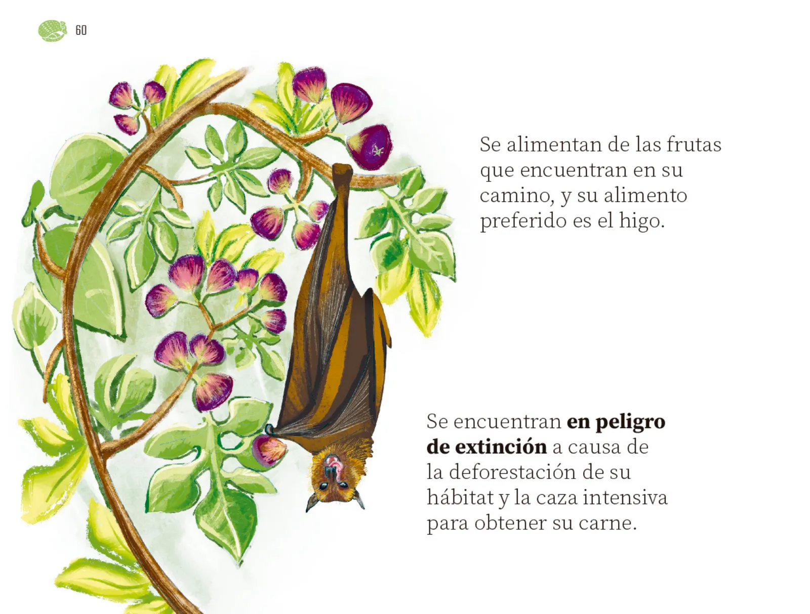 Página 61 de Múltiples lenguajes.   Libro de Educación Preescolar Grado 1°  Ciclo Escolar 2025 - 2026