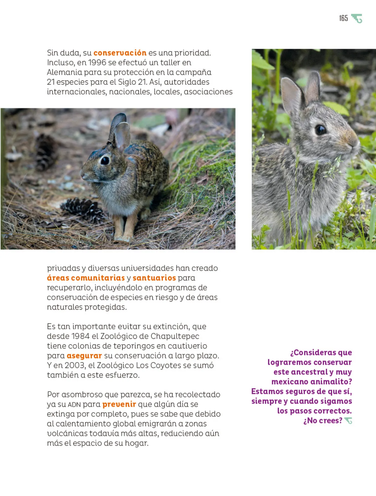 Página 166 de Múltiples lenguajes. Libro de Educación Primaria Grado 6° Ciclo Escolar 2025 - 2026