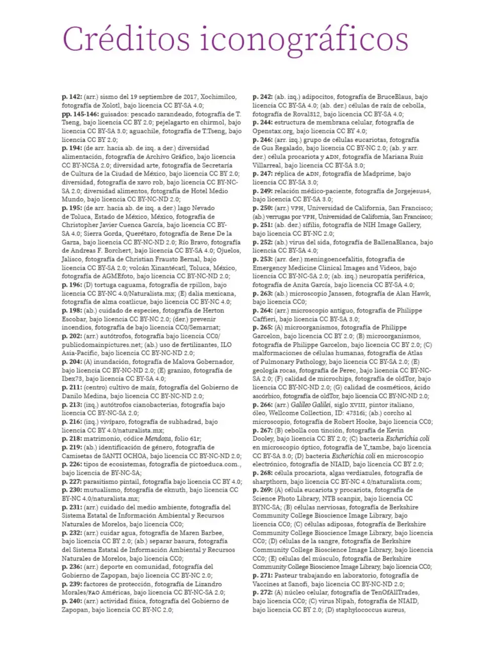 Página 333