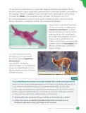 Miniatura página 55 de Libro de Ciencias Naturales – Quinto Básico | Texto del Estudiante MINEDUC – Descargar PDF · 2024