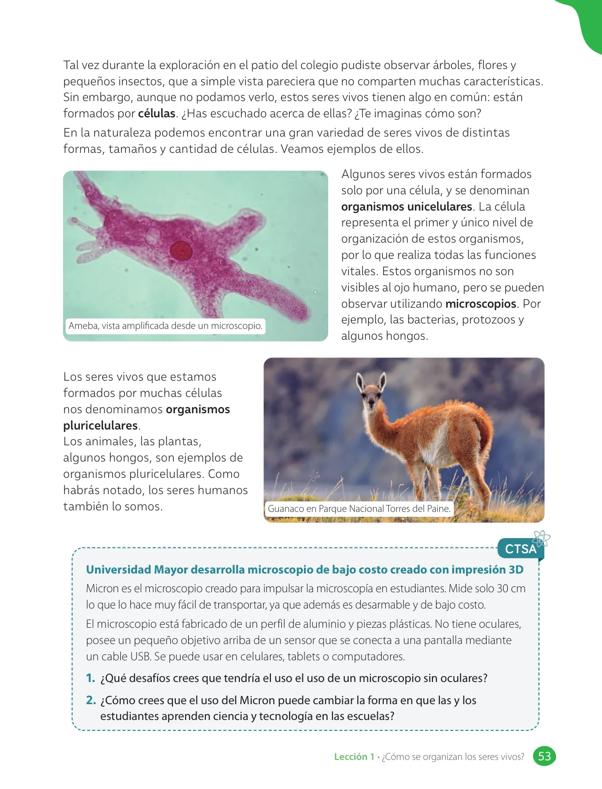 Miniatura página 55 de Libro de Ciencias Naturales – Quinto Básico | Texto del Estudiante MINEDUC – Descargar PDF · 2024