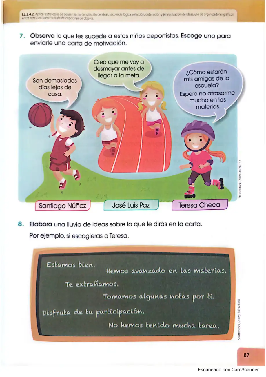 Página 81