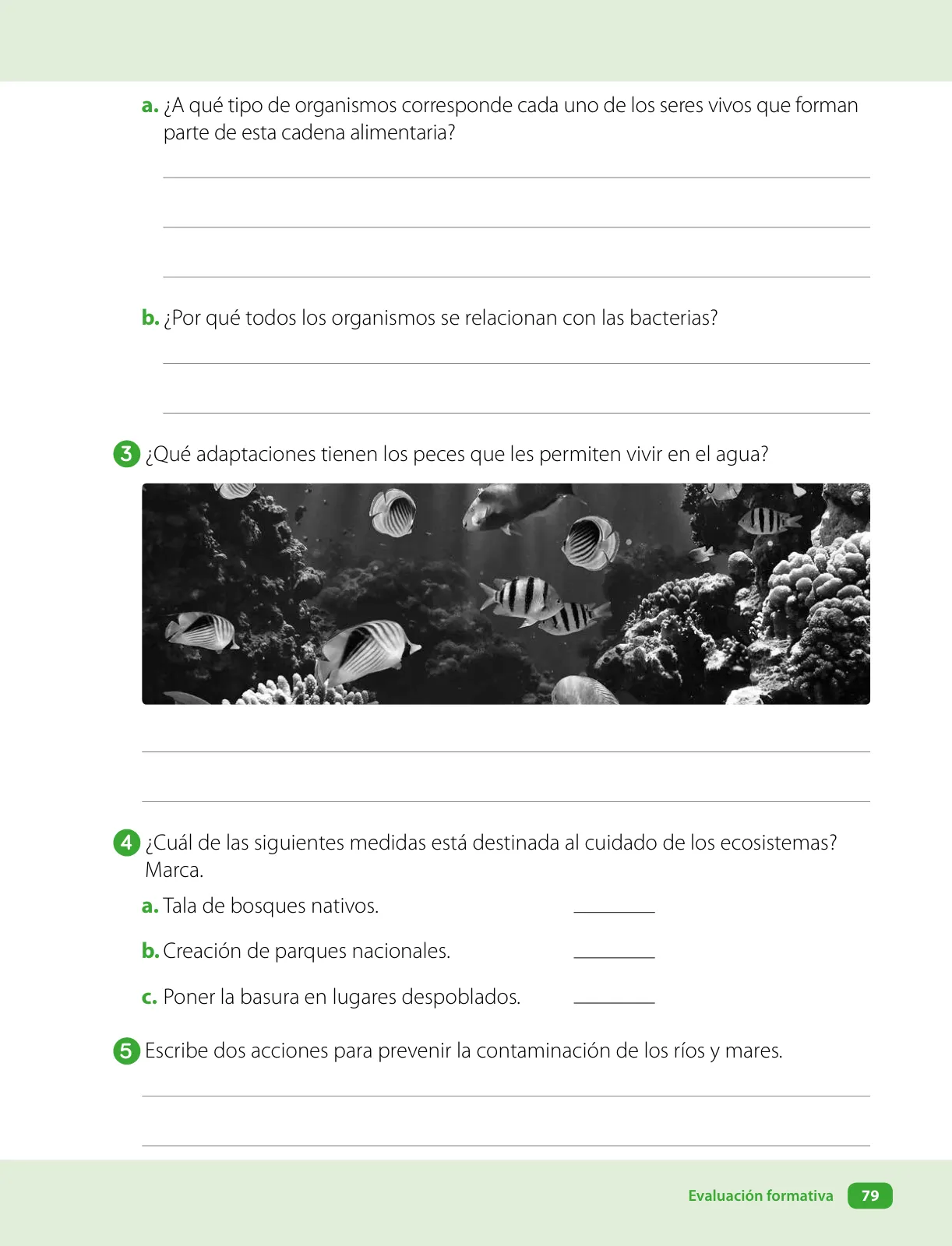 Página 81 de Ciencias Naturales – Cuarto Básico | Texto del Estudiante MINEDUC – Descargar PDF · 2024