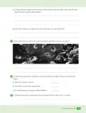 Miniatura página 81 de Ciencias Naturales – Cuarto Básico | Texto del Estudiante MINEDUC – Descargar PDF · 2024