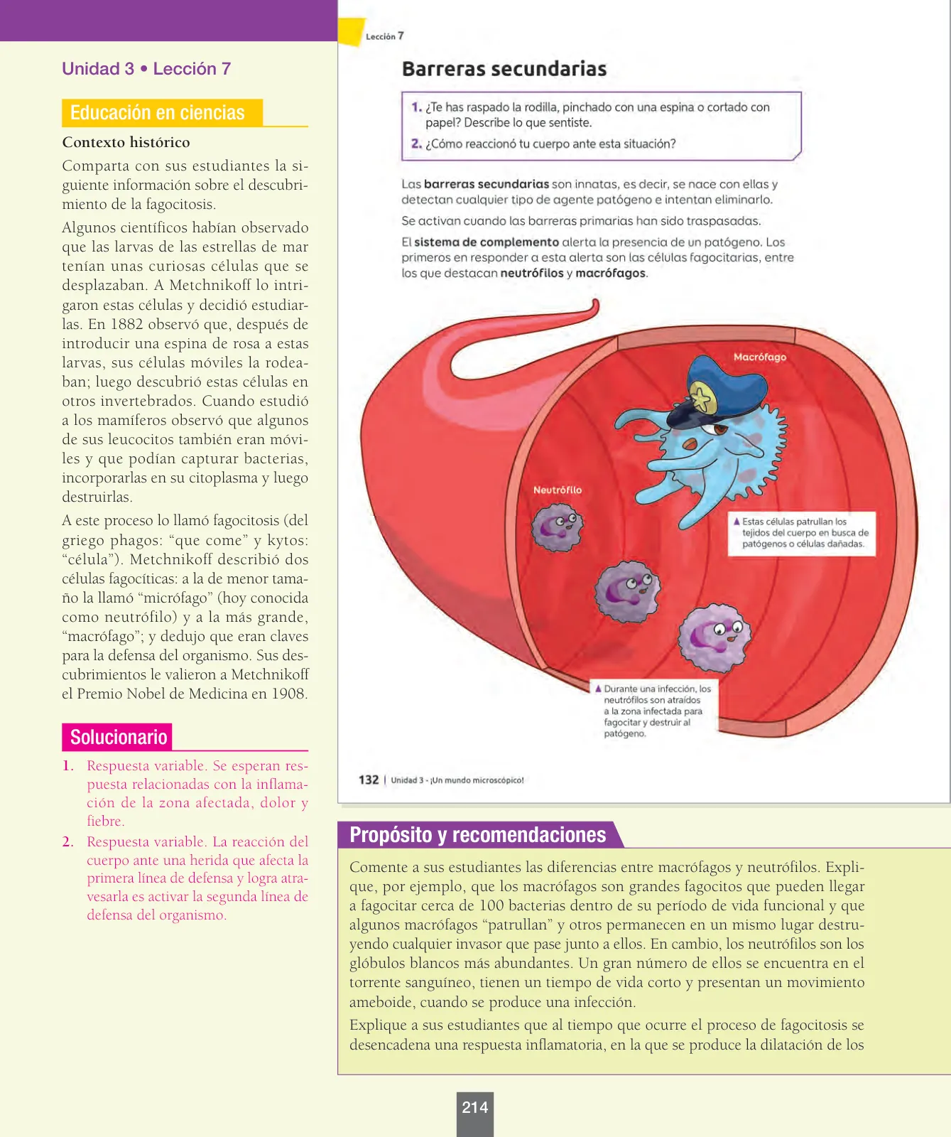 Página 39 de Ciencias Naturales – Séptimo Básico | Texto del Estudiante MINEDUC – Descargar PDF · 2024