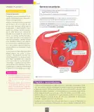 Miniatura página 39 de Ciencias Naturales – Séptimo Básico | Texto del Estudiante MINEDUC – Descargar PDF · 2024
