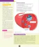 Miniatura página 39 de Ciencias Naturales – Séptimo Básico | Texto del Estudiante MINEDUC – Descargar PDF · 2024