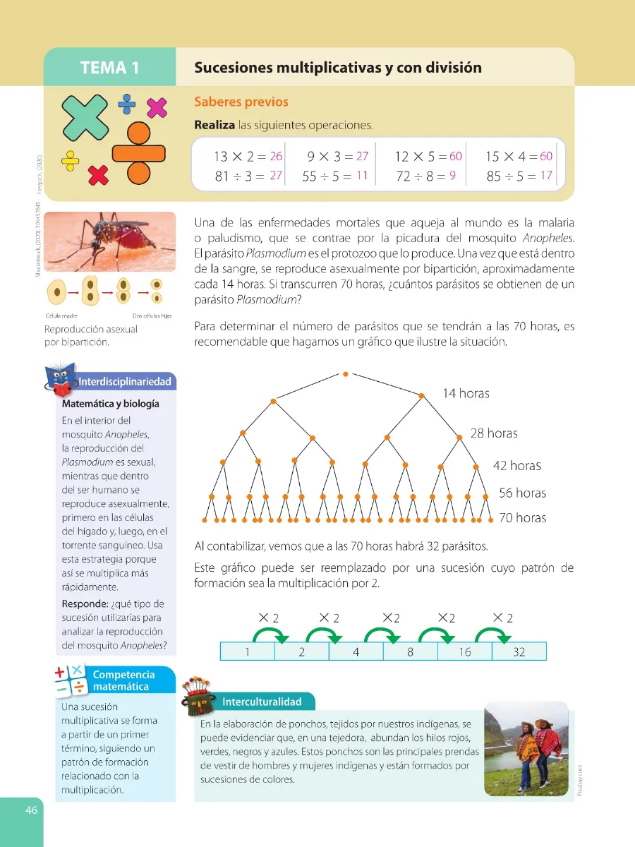 Página 48
