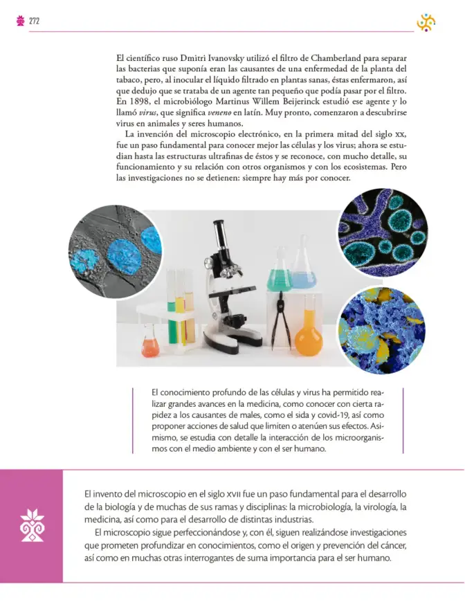 Página 273 de Colección Ximhai. Saberes y pensamiento científico. Libro de Educación Secundaria Grado 1° Ciclo Escolar 2025 - 2026