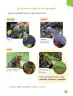 Miniatura página 71 de Ciencias Naturales – Primero Básico | Texto del Estudiante (MINEDUC) – Descargar PDF · 2024