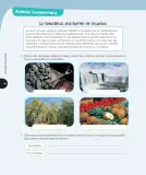 Miniatura página 145 de Ciencias Naturales – Cuarto Básico | Texto del Estudiante MINEDUC – Descargar PDF · 2024