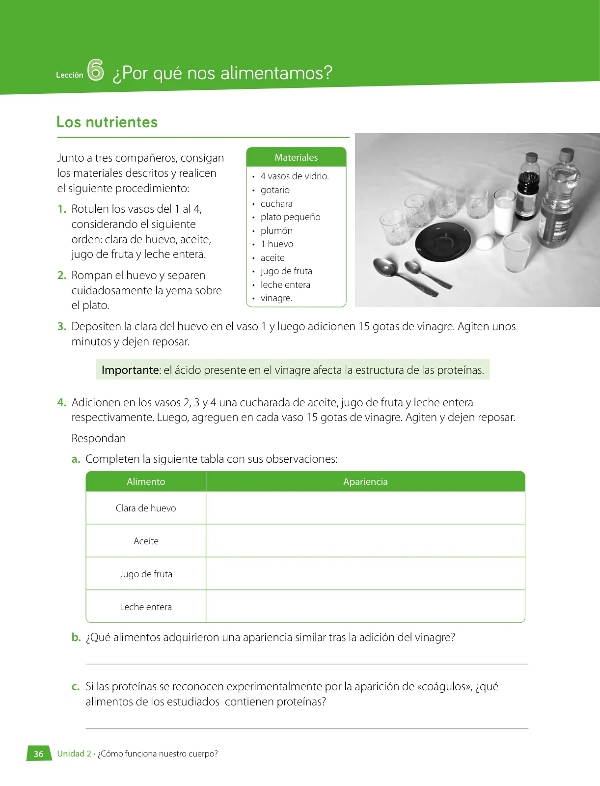 Miniatura página 37 de Libro de Ciencias Naturales – Quinto Básico | Texto del Estudiante MINEDUC – Descargar PDF · 2024