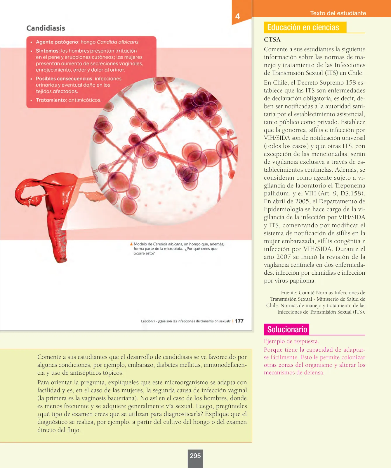 Página 120 de Ciencias Naturales – Séptimo Básico | Texto del Estudiante MINEDUC – Descargar PDF · 2024