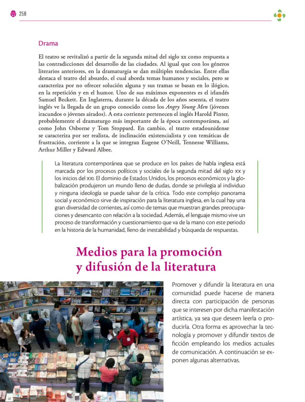 Página 259