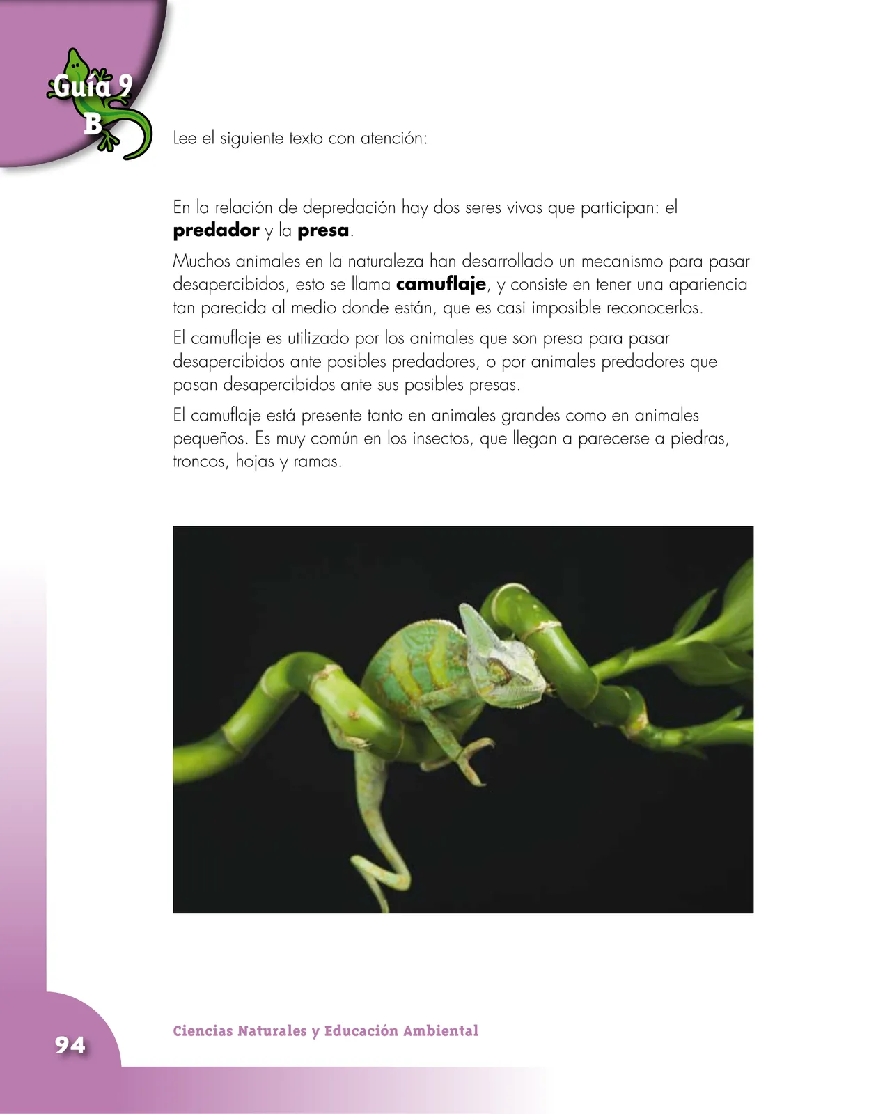 Pág 94