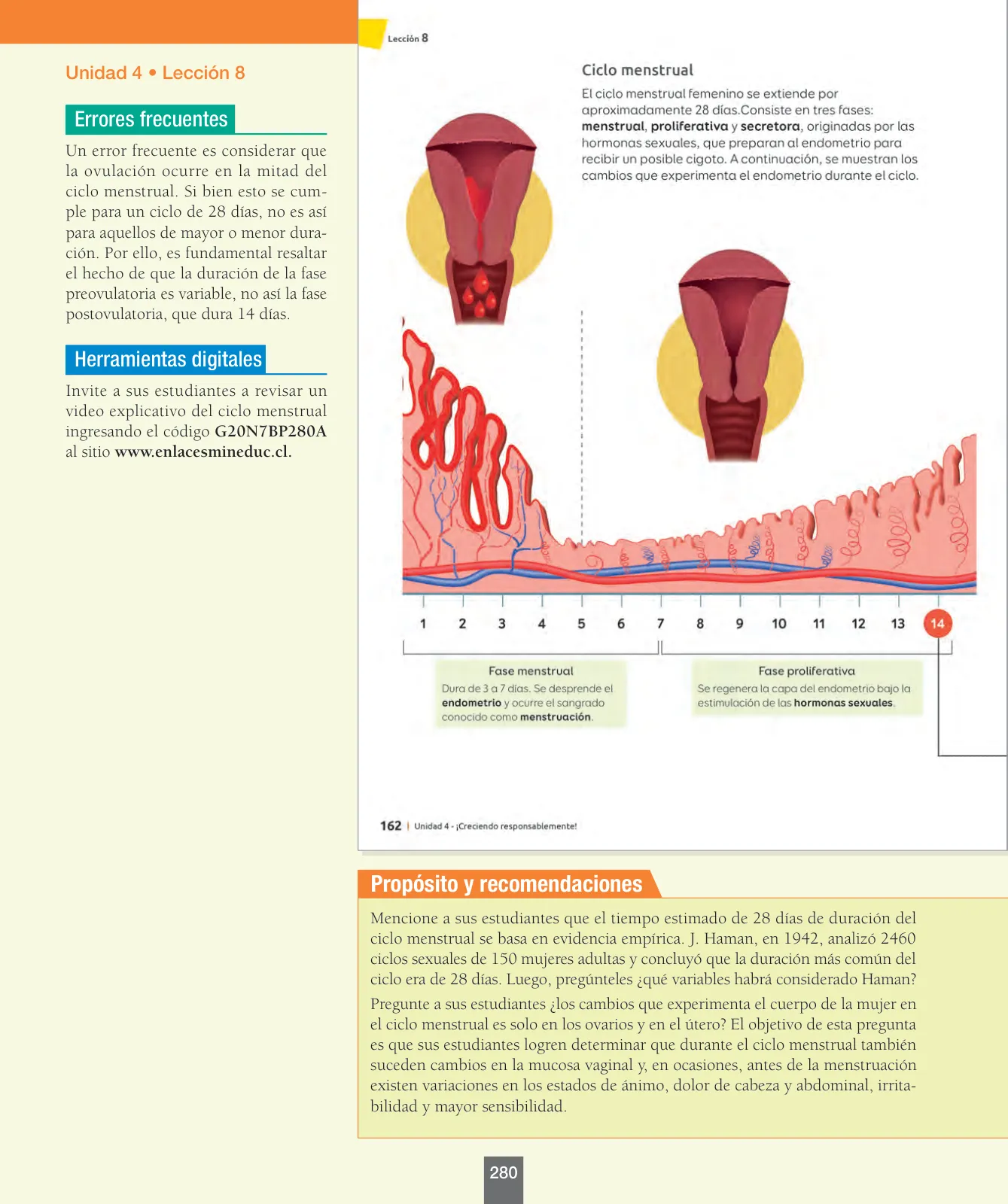 Miniatura página 105 de Ciencias Naturales – Séptimo Básico | Texto del Estudiante MINEDUC – Descargar PDF · 2024