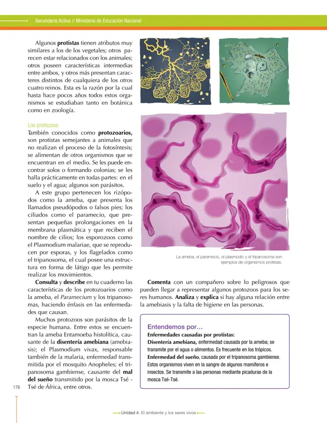 Página 180 de Ciencias Naturales 6° · Secundaria Activa
