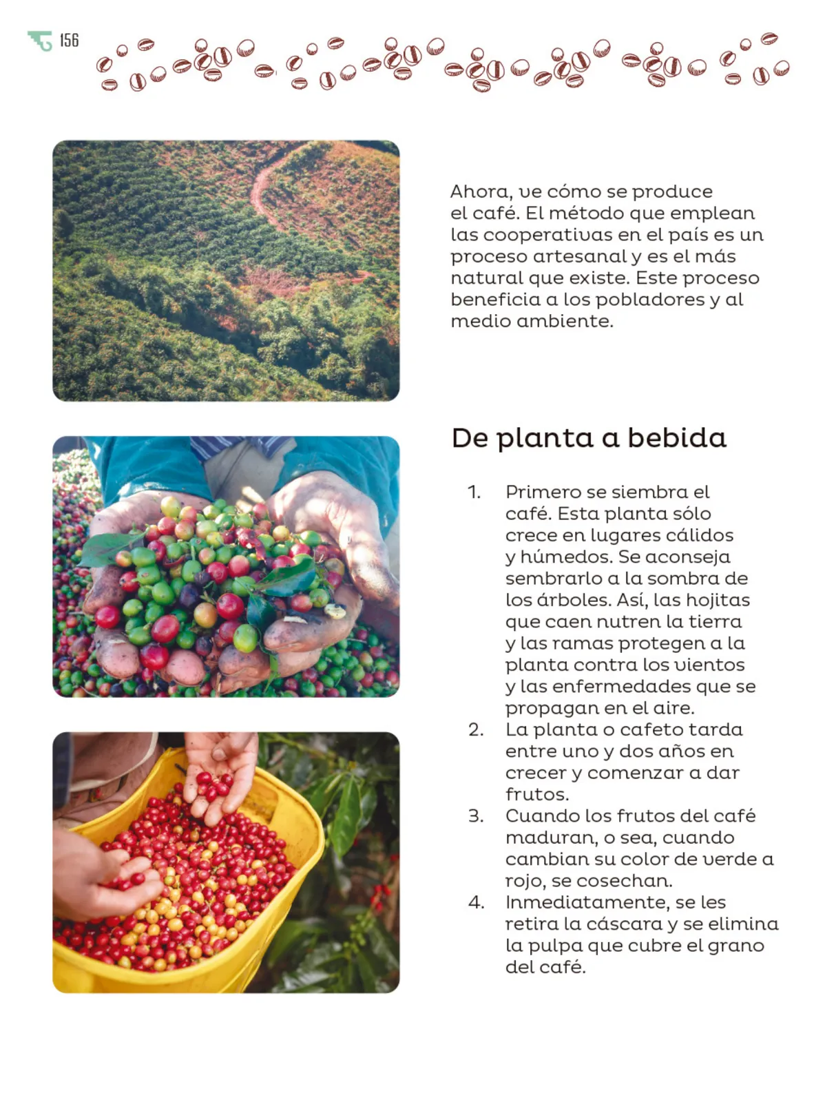 Página 157 de Múltiples lenguajes. Libro de Educación Primaria Grado 5° Ciclo Escolar 2025 - 2026