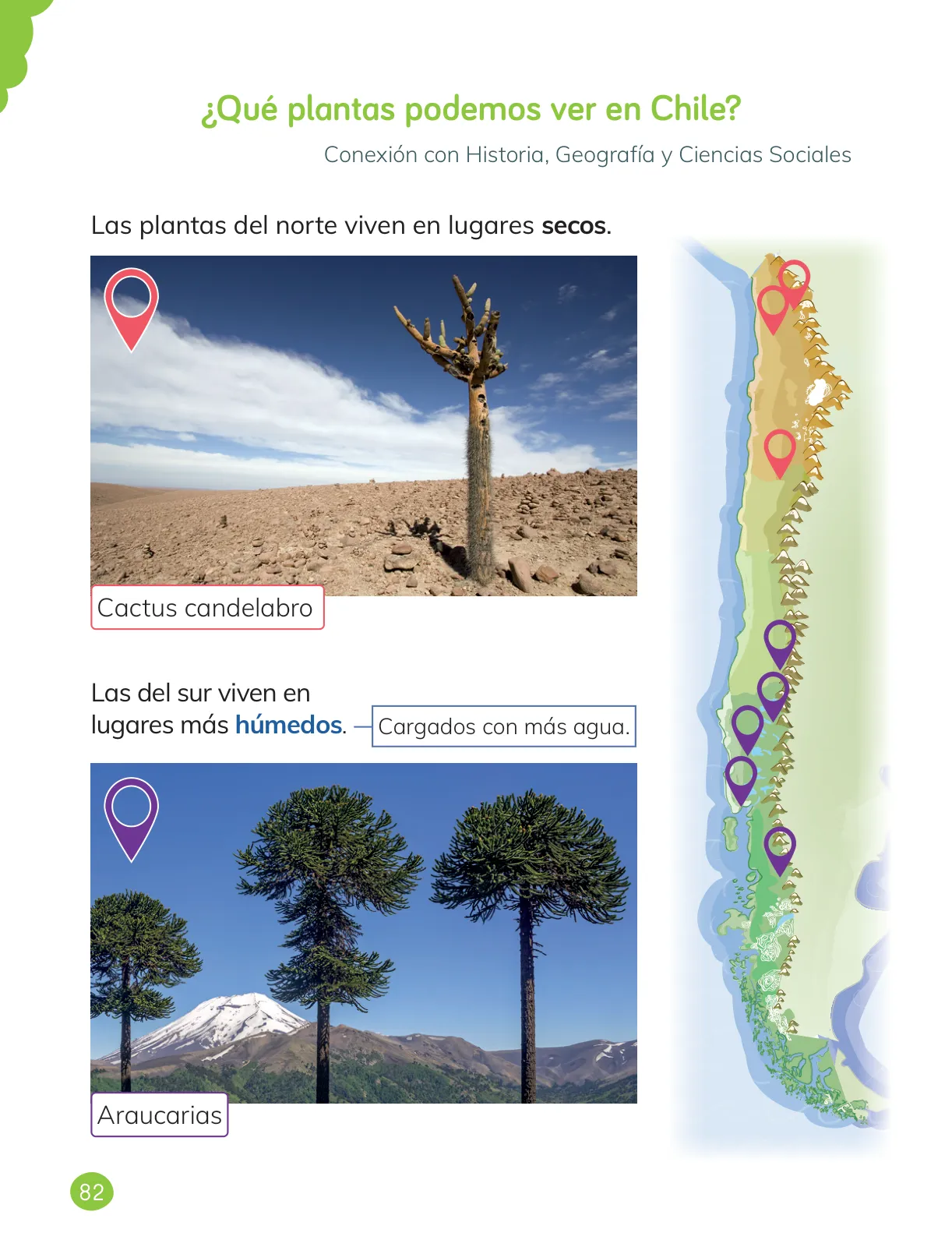 Miniatura página 84 de Ciencias Naturales – Primero Básico | Texto del Estudiante (MINEDUC) – Descargar PDF · 2024