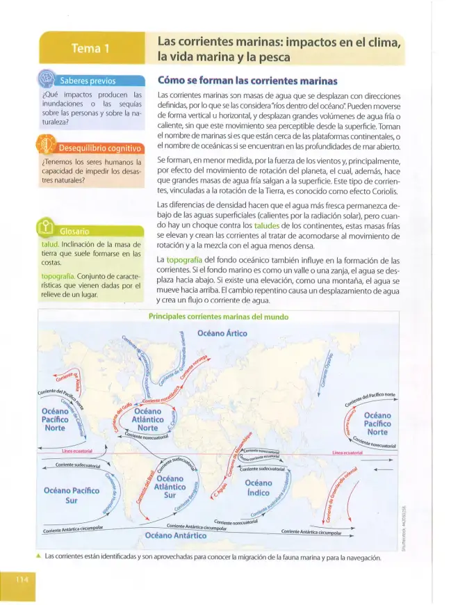 Página 115 de Ciencias Naturales 9° · 2025