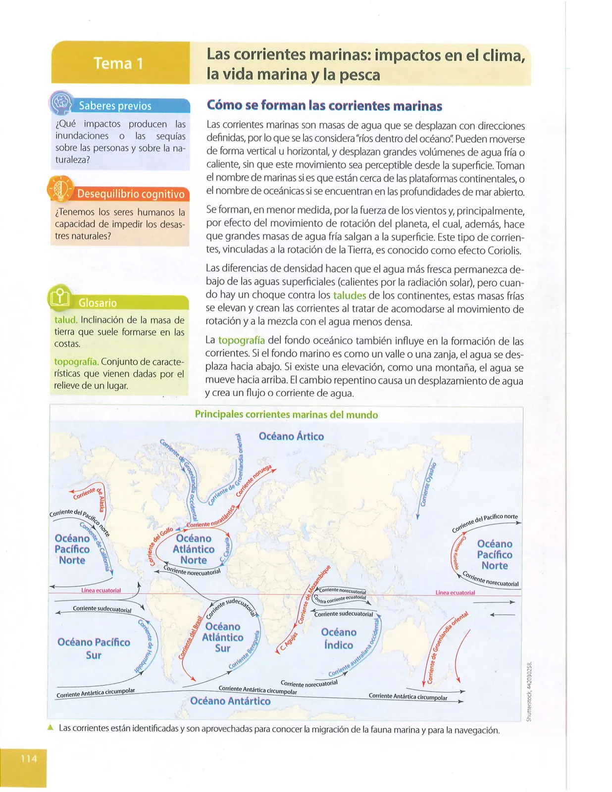 Miniatura página 115 de Ciencias Naturales · 9 EGB · 2024