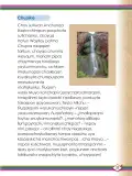 Miniatura página 25 de Willakuykuna maytu - Chanka Literatura 1 - 1° Secundaria - Quechua chanka · 2023