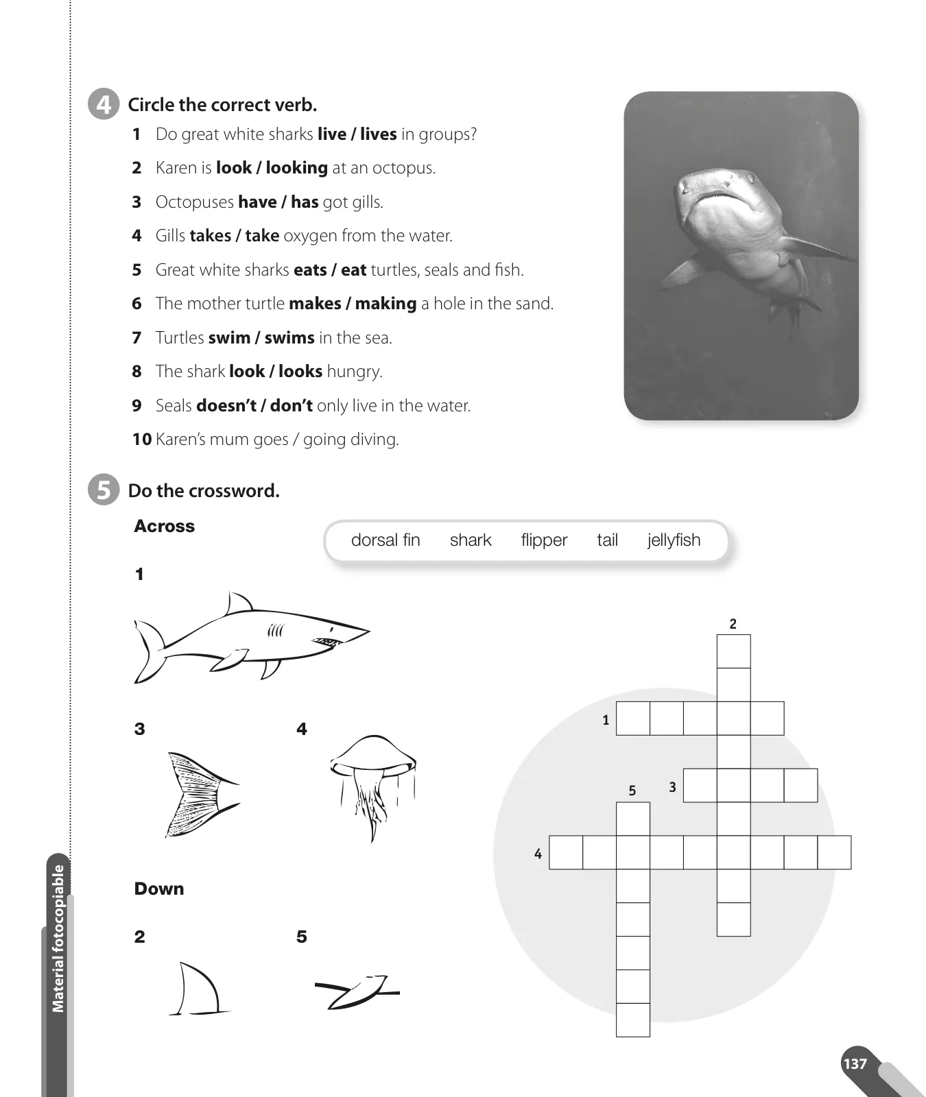 Página 139 de Inglés – Quinto Básico | Texto del Estudiante MINEDUC – Descargar PDF · 2024