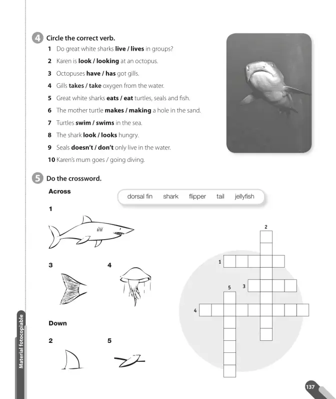 Página 139 de Inglés – Quinto Básico | Texto del Estudiante MINEDUC – Descargar PDF · 2024