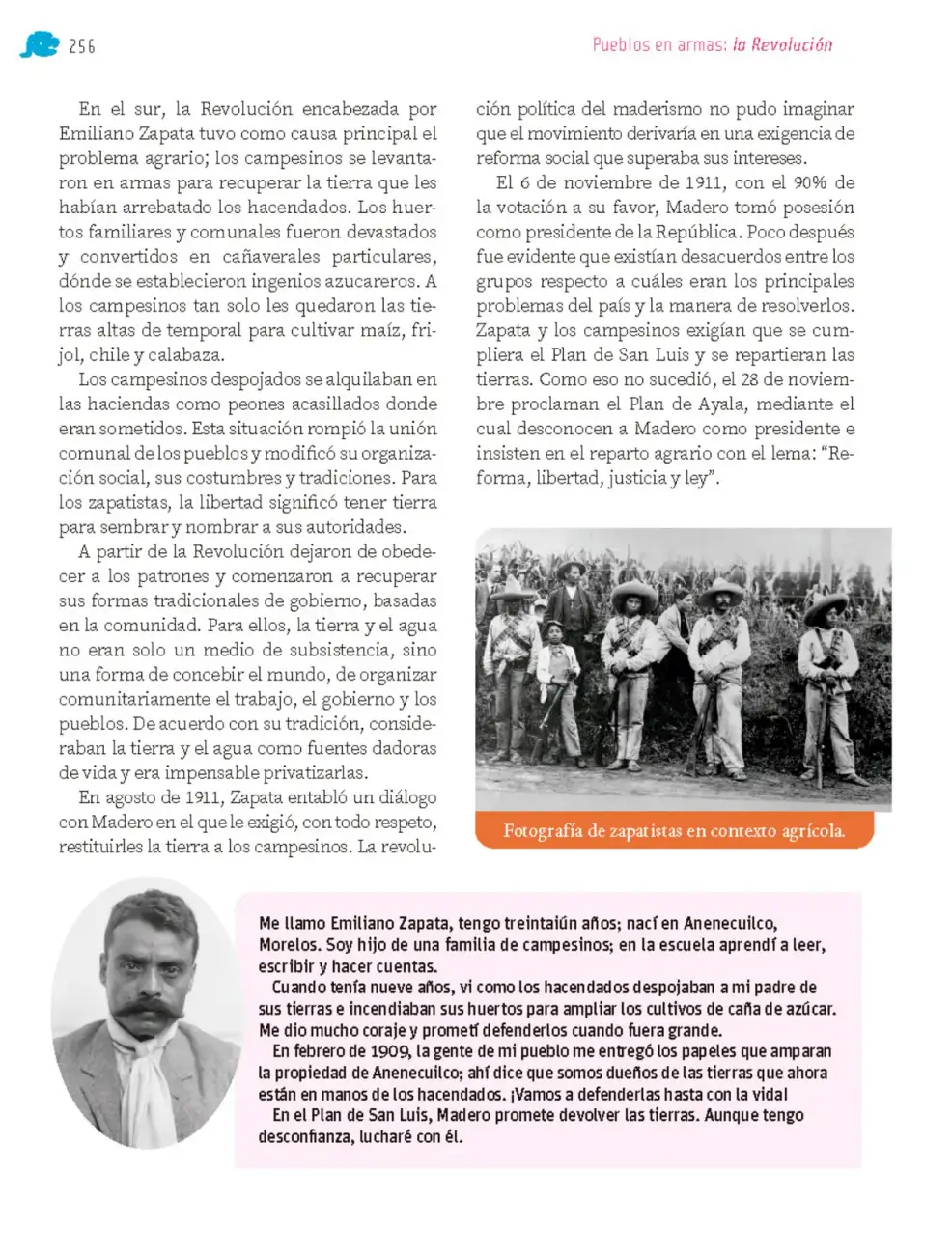 Página 263