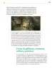 Miniatura página 54 de Colección Sk´asolil. Ética, naturaleza y sociedades.   Libro de Educación Telesecundaria Grado 2°  Ciclo Escolar 2025 - 2026