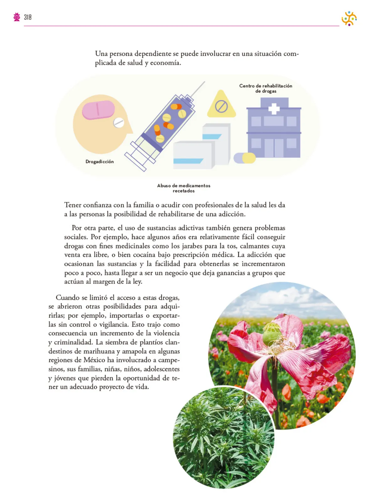 Miniatura página 319 de Colección Ximhai. Saberes y pensamiento científico.   Libro de Educación Secundaria Grado 1°  Ciclo Escolar 2025 - 2026