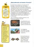 Miniatura página 115 de Estudios Sociales 2° · Egb 2 Estudios Sociales 2025 · 2025