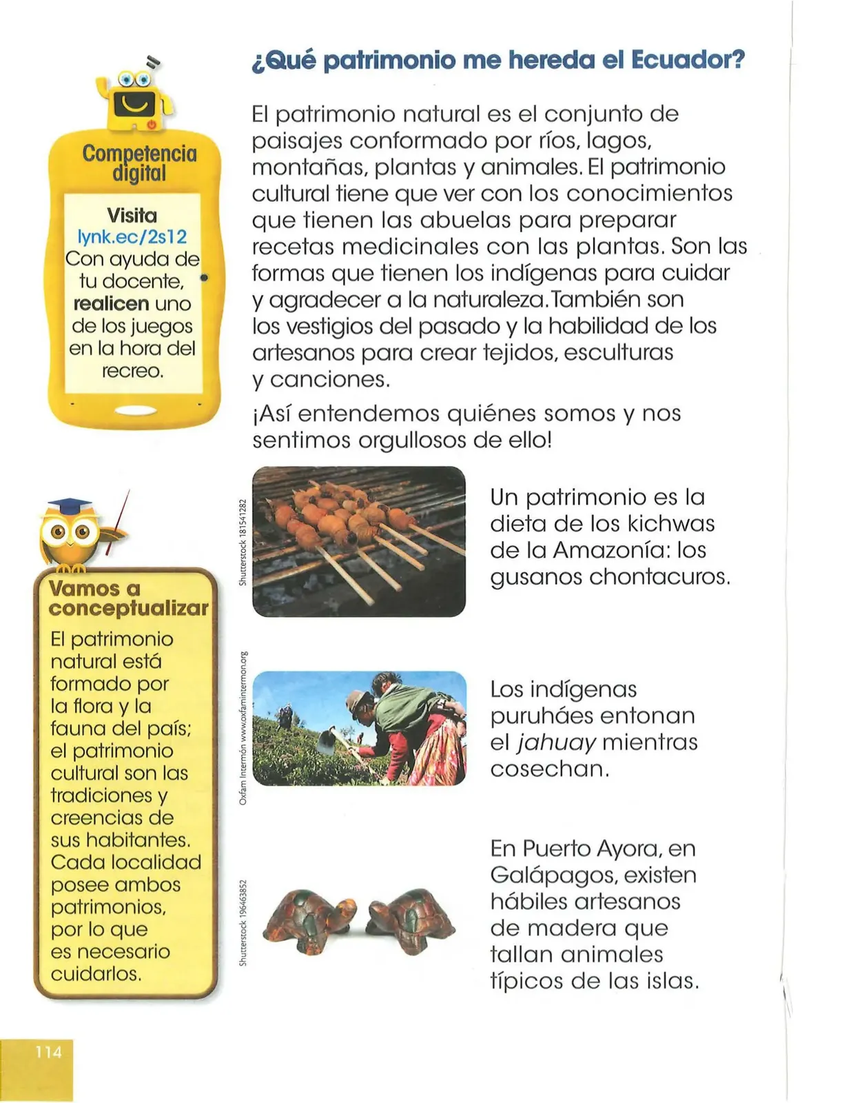 Pág 115