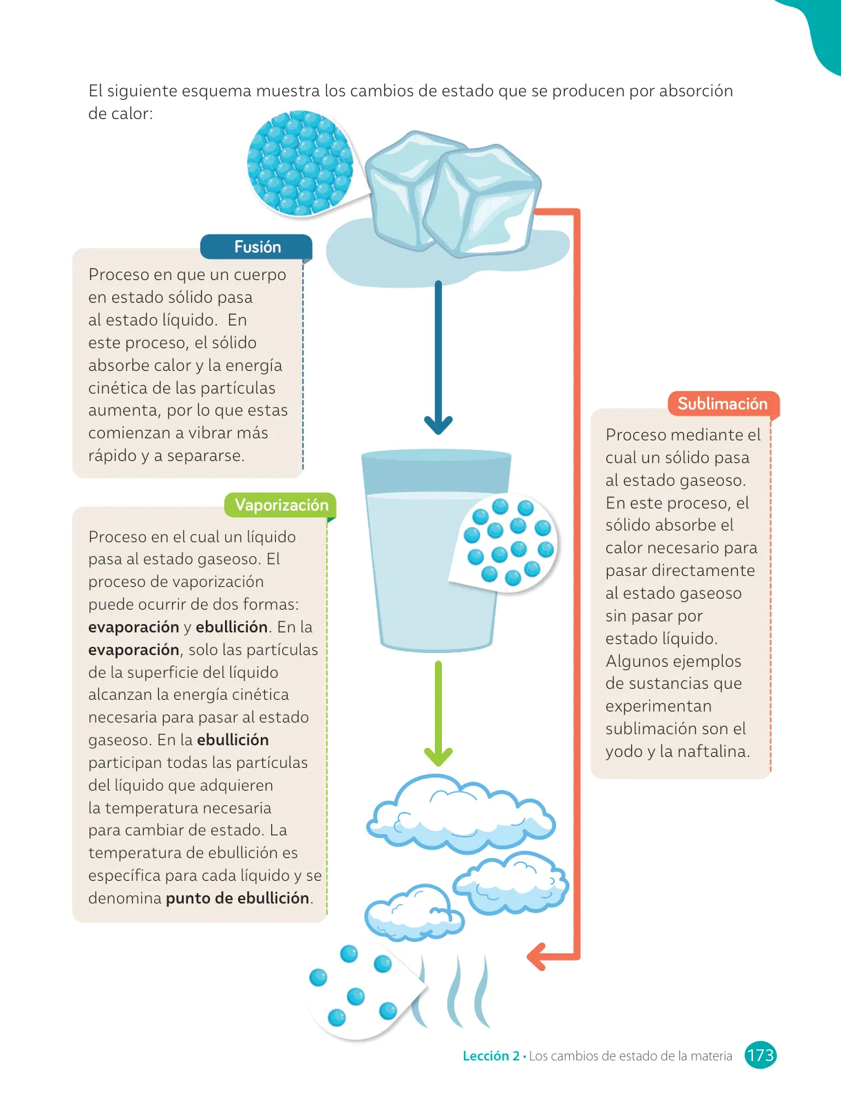 Miniatura página 175 de Libro de Ciencias Naturales – Quinto Básico | Texto del Estudiante MINEDUC – Descargar PDF · 2024