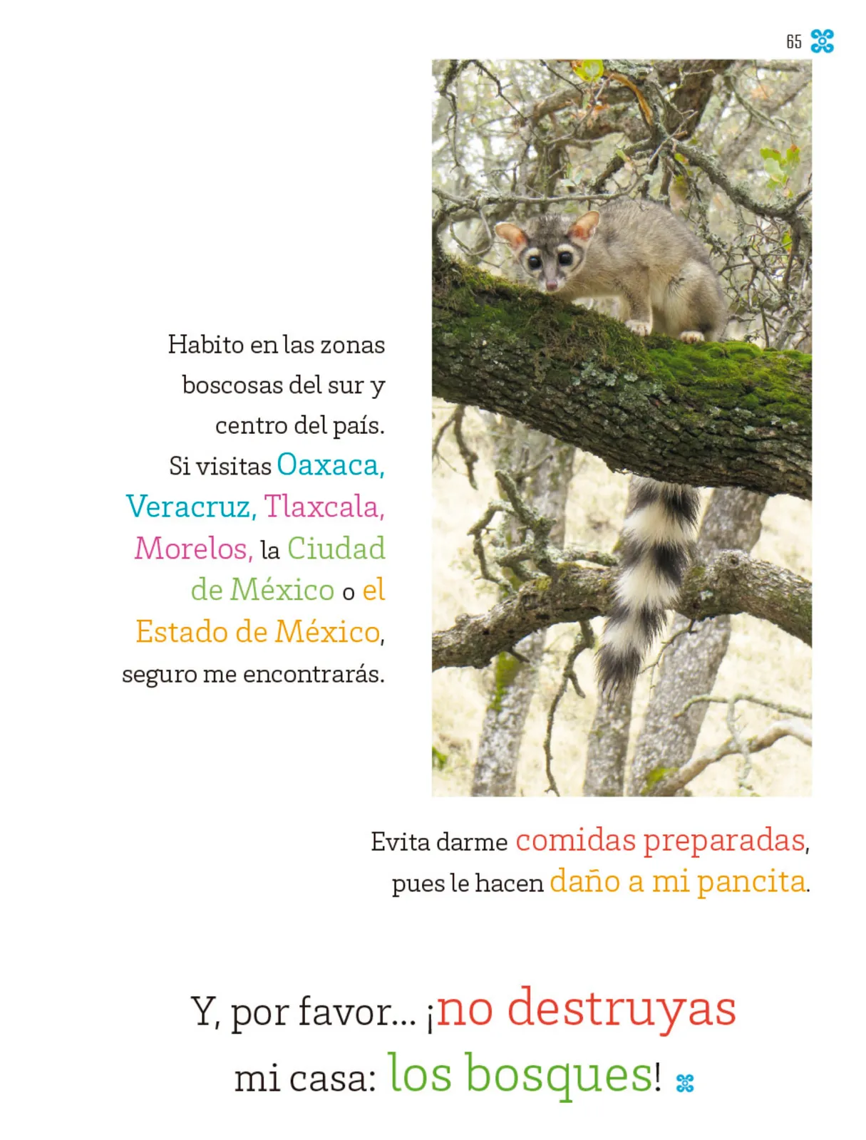 Pág 66