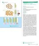 Miniatura página 89 de Sumo Primero – Primero Básico | Texto del Estudiante (MINEDUC) – Descargar PDF · 2024