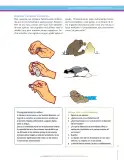 Miniatura página 77 de Ciencias Sociales 6° · Secundaria Activa