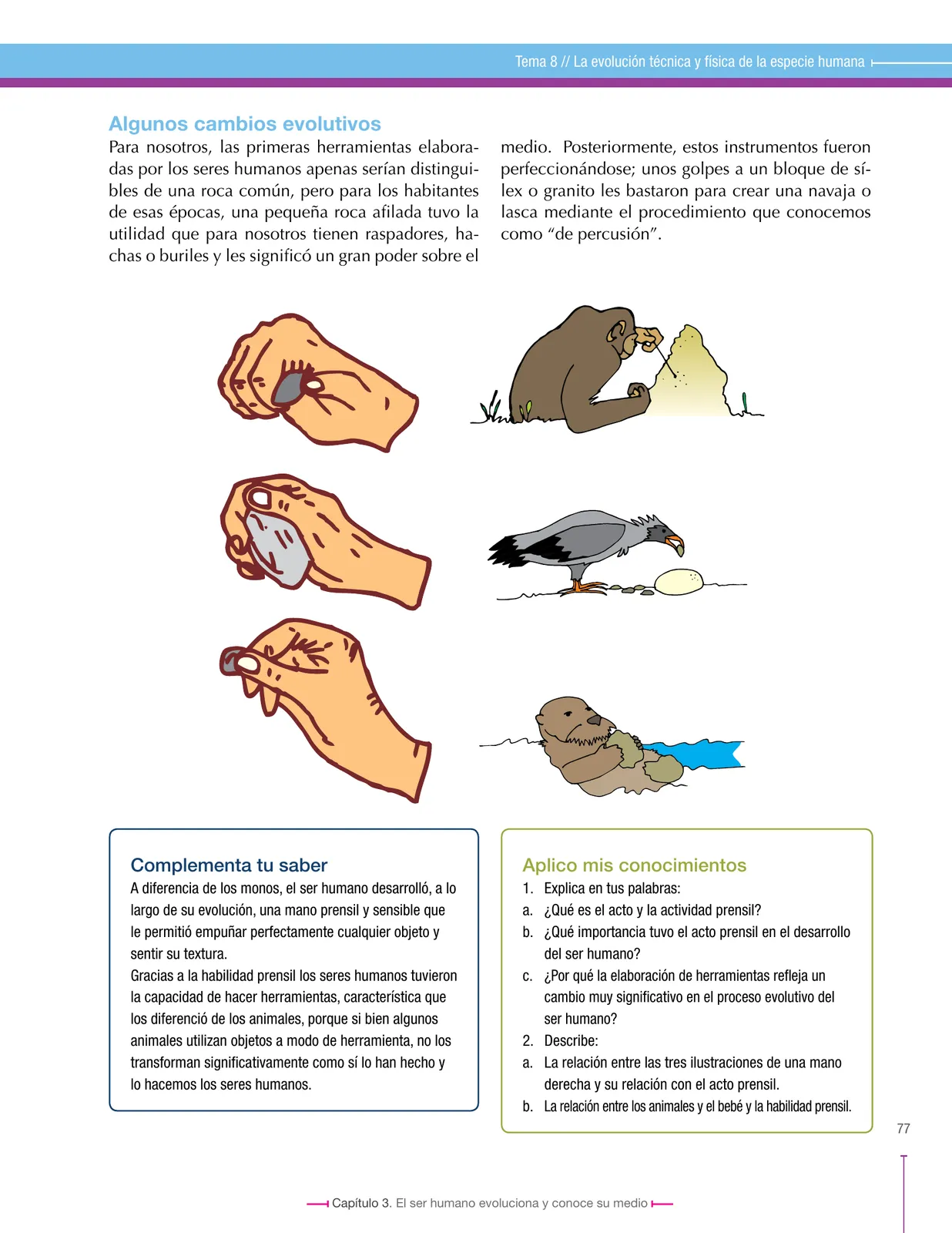 Miniatura página 77 de Ciencias Sociales 6° · Secundaria Activa