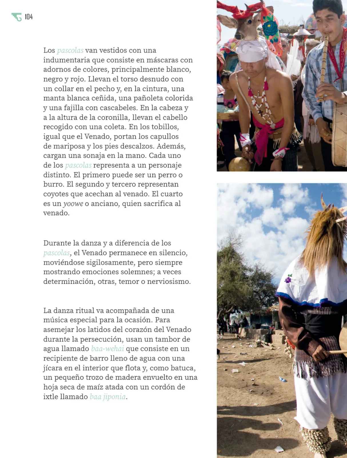 Página 105 de Múltiples lenguajes.   Libro de Educación Primaria Grado 6°  Ciclo Escolar 2025 - 2026