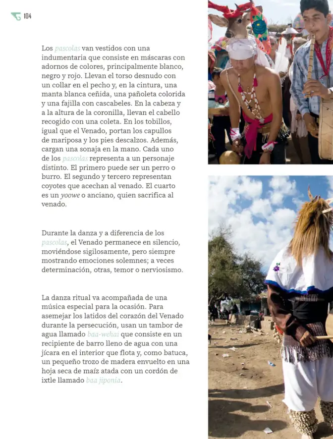 Página 105 de Múltiples lenguajes. Libro de Educación Primaria Grado 6° Ciclo Escolar 2025 - 2026