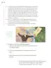 Miniatura página 233 de Proyectos de Aula.   Libro de Educación Primaria Grado 5°  Ciclo Escolar 2025 - 2026