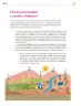 Miniatura página 259 de Colección Sk´asolil. Saberes y pensamiento científico.   Libro de Educación Secundaria Grado 2°  Ciclo Escolar 2025 - 2026
