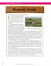 Miniatura página 76 de Ciencias Naturales 8° · Secundaria Activa