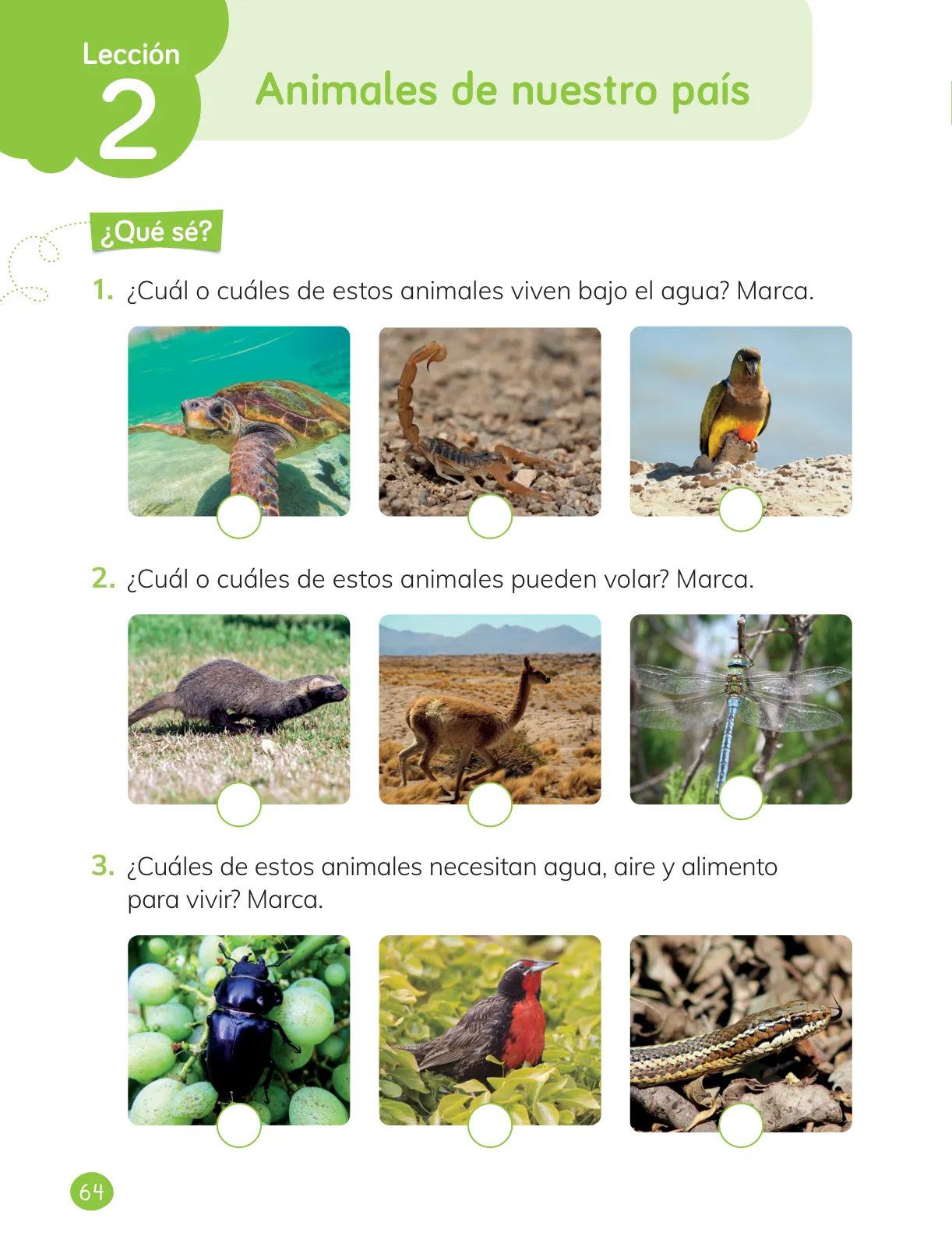 Página 66 de Ciencias Naturales – Primero Básico | Texto del Estudiante (MINEDUC) – Descargar PDF · 2024