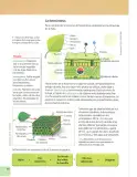 Miniatura página 15 de Ciencias Naturales 7° · 2025