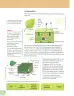 Miniatura página 15 de Ciencias Naturales 7° · 2025