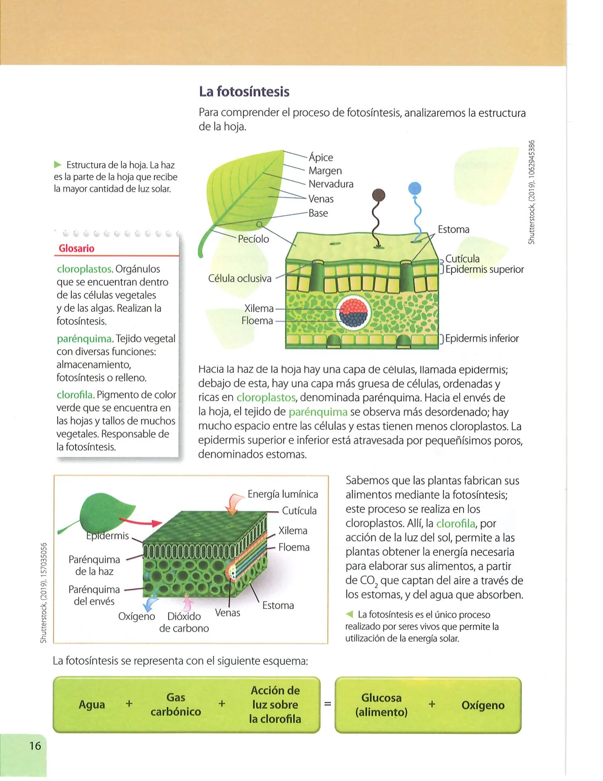 Pág 15