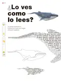 Miniatura página 53 de Múltiples lenguajes.   Libro de Educación Primaria Grado 3°  Ciclo Escolar 2025 - 2026