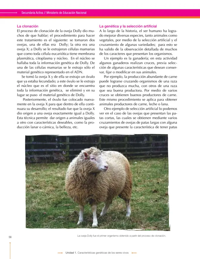 Página 56 de Ciencias Naturales 9° · Secundaria Activa