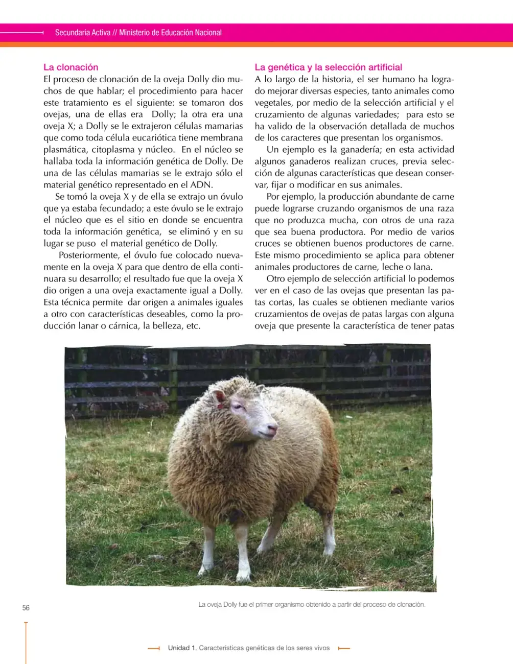 Página 56